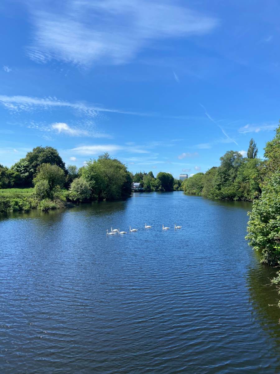 Fitzgerald Park Cork, parque junto al río Lee